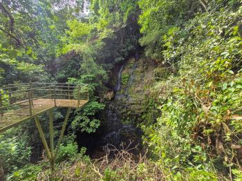 Finca para Agricultura en venta en San Carlos De La Amistad, Pérez Zeledón, San José, Costa Rica — foto 3