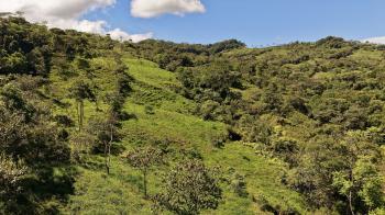 Terreno General en venta en Miraflores, Pérez Zeledón, San José, Costa Rica — foto 3