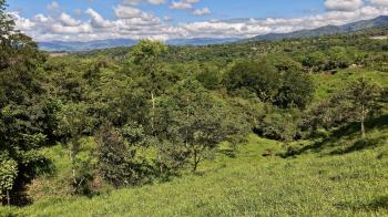 Terreno General en venta en Miraflores, Pérez Zeledón, San José, Costa Rica — foto 6