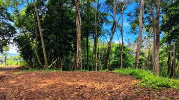 Mixed Use Land for sale in Miravalles, Pérez Zeledón, San José, Costa Rica — photo 1