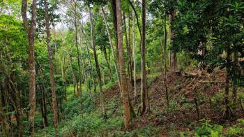 Mixed Use Land for sale in Miravalles, Pérez Zeledón, San José, Costa Rica — photo 2