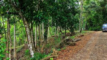 Mixed Use Land for sale in Miravalles, Pérez Zeledón, San José, Costa Rica — photo 6