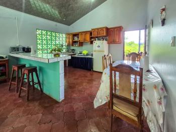 Fincas Uso Mixto en venta en La Concepcion, Pérez Zeledón, San José, Costa Rica — foto 2