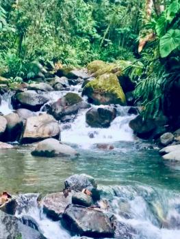 Finca Agroturística en venta en Purisil De Orosi, Paraíso, Cartago, Costa Rica — foto 1