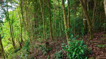 Villa en venta en Santa Rosa De Río Nuevo, Pérez Zeledón, San José, Costa Rica — foto 3
