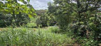 Terreno Comercial en venta en Nuevo Arenal, Tilarán, Guanacaste, Costa Rica — foto 2