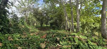 Terreno Comercial en venta en Nuevo Arenal, Tilarán, Guanacaste, Costa Rica — foto 3