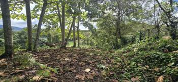 Terreno Comercial en venta en Nuevo Arenal, Tilarán, Guanacaste, Costa Rica — foto 4