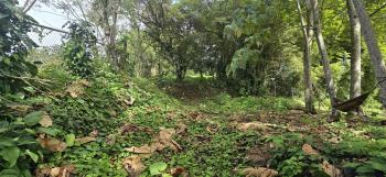 Terreno Comercial en venta en Nuevo Arenal, Tilarán, Guanacaste, Costa Rica — foto 5