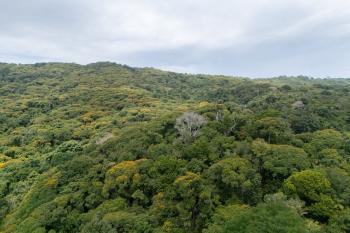 Terreno Para Vivienda en venta en Dominical, Pérez Zeledón, San José, Costa Rica — foto 5