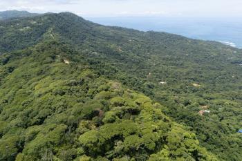 Terreno Para Vivienda en venta en Dominical, Pérez Zeledón, San José, Costa Rica — foto 6