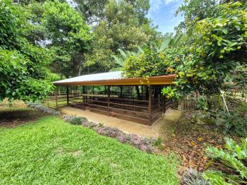 Restaurantes en venta en Villa Ligia, Pérez Zeledón, San José, Costa Rica — foto 5