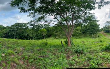 Terreno Comercial en venta en Tarcoles, Puntarenas, Costa Rica — foto 2
