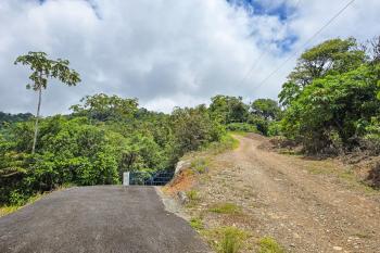 Terreno Para Vivienda en venta en Puerto Cortes, Osa, Puntarenas, Costa Rica — foto 3