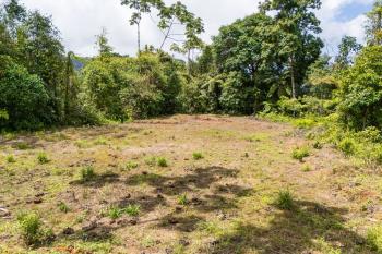 Terreno Para Vivienda en venta en Puerto Cortes, Osa, Puntarenas, Costa Rica — foto 6