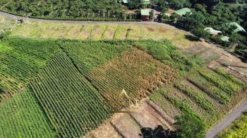 Terreno para Desarrollo en venta en Rosario, Naranjo, Alajuela, Costa Rica — foto 5