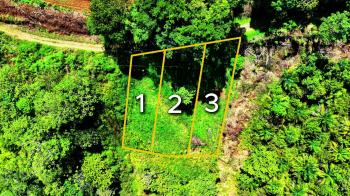 Terreno Para Vivienda en venta en Volcán, Buenos Aires, Puntarenas, Costa Rica — foto 2