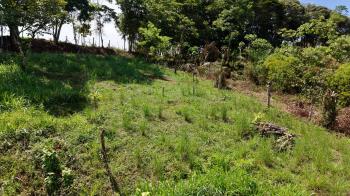Terreno Para Vivienda en venta en Volcán, Buenos Aires, Puntarenas, Costa Rica — foto 4