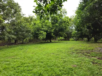 Fincas Uso Mixto en venta en Labrador, San Mateo, Alajuela, Costa Rica — foto 3
