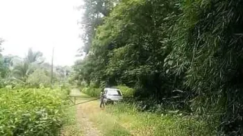 Finca Agroturística en venta o alquiler en Río Frío, Sarapiquí, Heredia, Costa Rica — foto 2