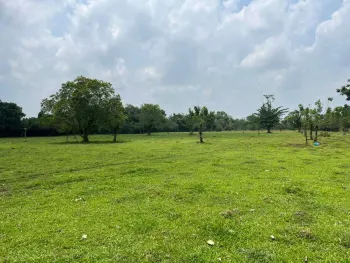 Fincas Uso Mixto en venta en Guápiles, Pococí, Limón, Costa Rica — foto 1