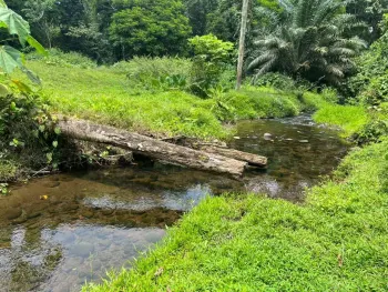 Fincas Uso Mixto en venta en Guápiles, Pococí, Limón, Costa Rica — foto 2