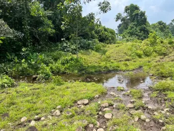 Fincas Uso Mixto en venta en Guápiles, Pococí, Limón, Costa Rica — foto 3