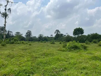 Fincas Uso Mixto en venta en Guápiles, Pococí, Limón, Costa Rica — foto 4