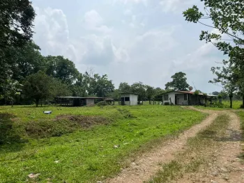 Fincas Uso Mixto en venta en Guápiles, Pococí, Limón, Costa Rica — foto 5