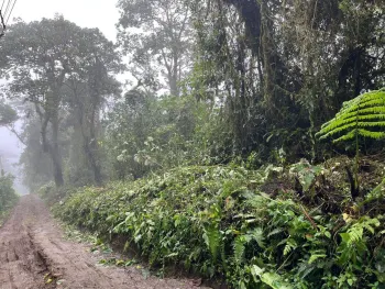 Terreno Comercial en venta en Monserrat, Vázquez de Coronado, San José, Costa Rica — foto 4