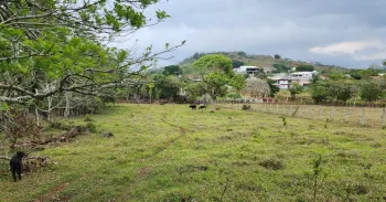 Terreno Para Vivienda en venta en San Pedro, San Ramón, Alajuela, Costa Rica — foto 5
