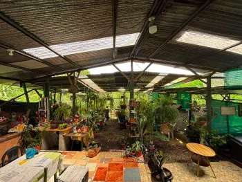 Casa una Planta en venta en Sabalito Barrio Mercedes, Coto Brus, Puntarenas, Costa Rica — foto 2
