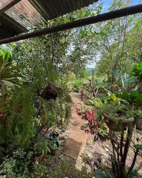 Casa una Planta en venta en Sabalito Barrio Mercedes, Coto Brus, Puntarenas, Costa Rica — foto 6