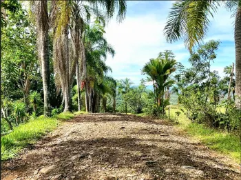 Fincas Uso Mixto en venta en Miravalles, Pérez Zeledón, San José, Costa Rica — foto 5