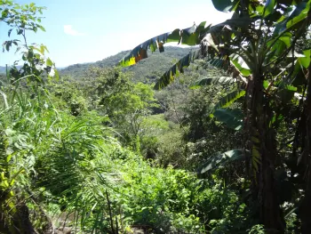 Terreno para Desarrollo en venta en San Jerónimo, Esparza, Puntarenas, Costa Rica — foto 4