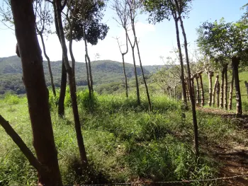 Terreno para Desarrollo en venta en San Jerónimo, Esparza, Puntarenas, Costa Rica — foto 5