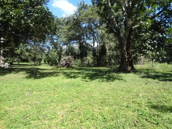 Terreno para Desarrollo en venta en San Jerónimo, Esparza, Puntarenas, Costa Rica — foto 7
