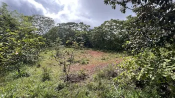 Terreno General en venta en San Pablo, San Pedro, Pérez Zeledón, San José, Costa Rica — foto 5
