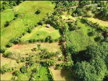 Terreno Para Vivienda en venta en Miravalles, Pérez Zeledón, San José, Costa Rica — foto 4
