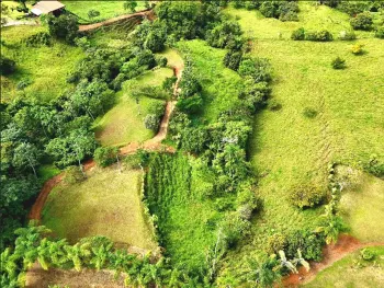 Se Vende Terreno Con Arroyo Natural y Vistas Panorámicas.