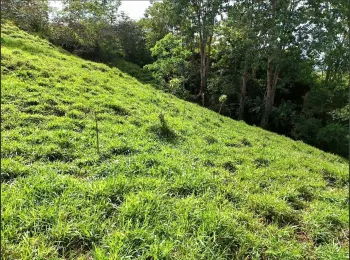 Terreno General en venta en San Isidro De El General, Pérez Zeledón, San José, Costa Rica — foto 5