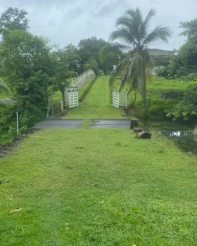 Mixed Use Land for sale in Milano, Pocora, Siquirres, Limón, Costa Rica — photo 6