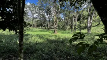 Terreno General en venta en San Francisco De Rivas, Pérez Zeledón, San José, Costa Rica — foto 3