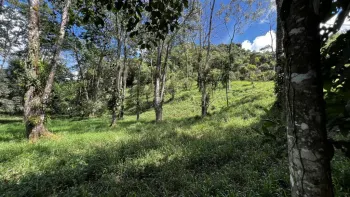 Terreno General en venta en San Francisco De Rivas, Pérez Zeledón, San José, Costa Rica — foto 5