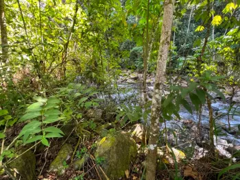 Terreno General en venta en San Pedro, Convento, Pérez Zeledón, San José, Costa Rica — foto 4