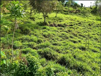 Terreno Para Vivienda en venta en Miravalles, Pérez Zeledón, San José, Costa Rica — foto 2
