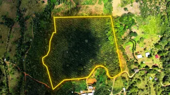 Venta de Finca Agricola de 6,74 ha Con Palma Africana en San Pedro, Perez Zeledo