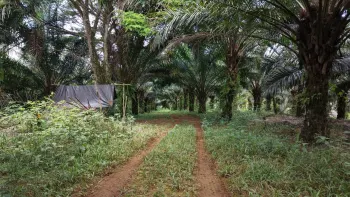 Terreno General en venta en Santiago, San Pedro, Pérez Zeledón, San José, Costa Rica — foto 3