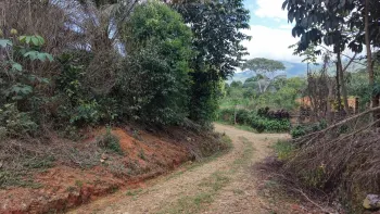Terreno General en venta en Santiago, San Pedro, Pérez Zeledón, San José, Costa Rica — foto 5