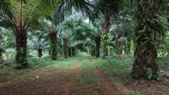 Terreno General en venta en Santiago, San Pedro, Pérez Zeledón, San José, Costa Rica — foto 2